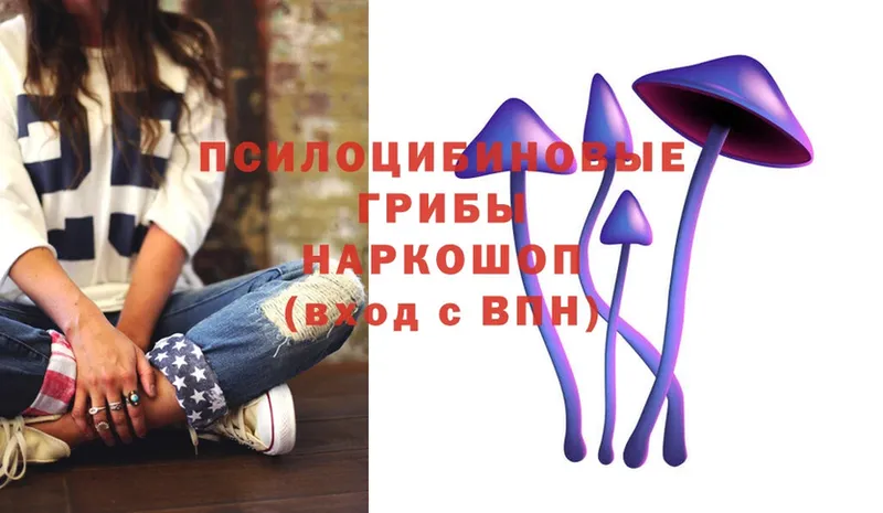 omg зеркало  Горно-Алтайск  Псилоцибиновые грибы Magic Shrooms  купить  сайты 